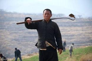 老农民,岁月流转中的土地情缘