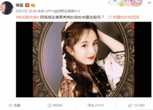 凤凰自当扶摇之上,探寻凤凰自当扶摇之上的传奇魅力