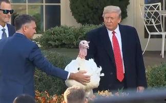 旅程：赦免,心灵救赎与自我重生的旅程