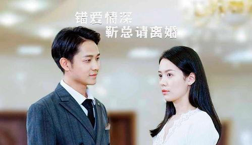 错爱情深，靳总请离婚,靳总深情请离婚的曲折爱情故事